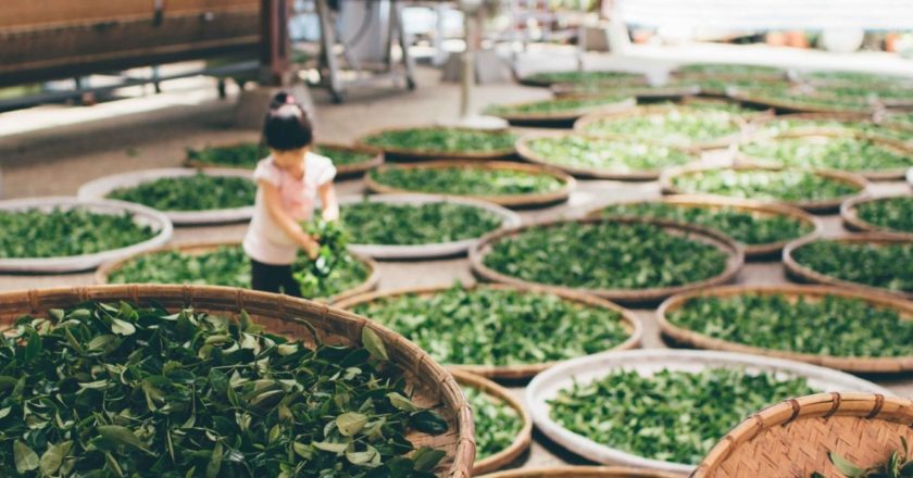 Ученые назвали продукты, замедляющие старение