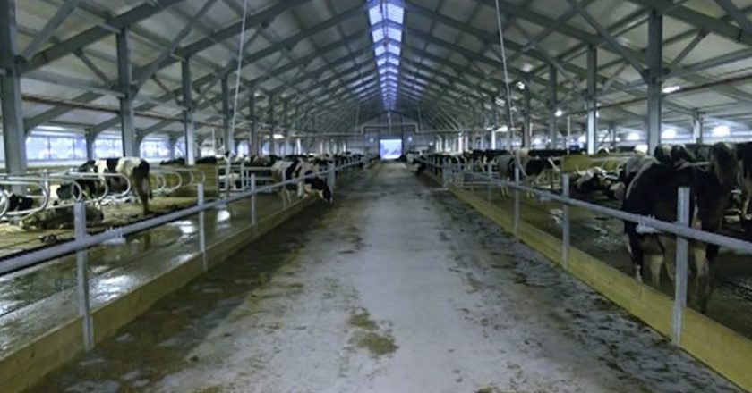 Лучшая инвестновость дня: В Костроме ферме добавили 450 голов скота