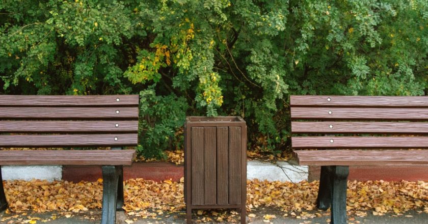 Похож на дерево, крепче гранита