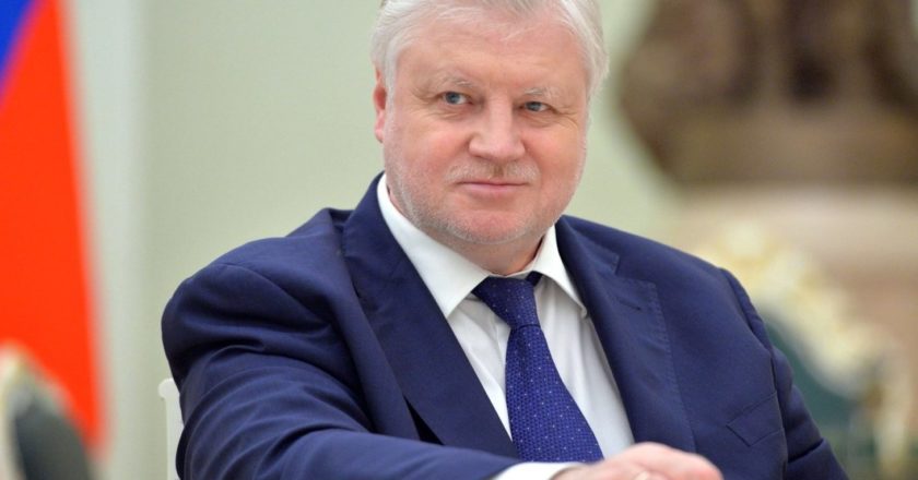 Миронов высказался о приватизации в России