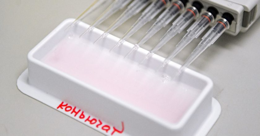 Испытания вакцины от COVID-19 в центре эпидемиологии и микробиологии имени Н. Ф. Гамалеи. Владимир Песня / РИА Новости