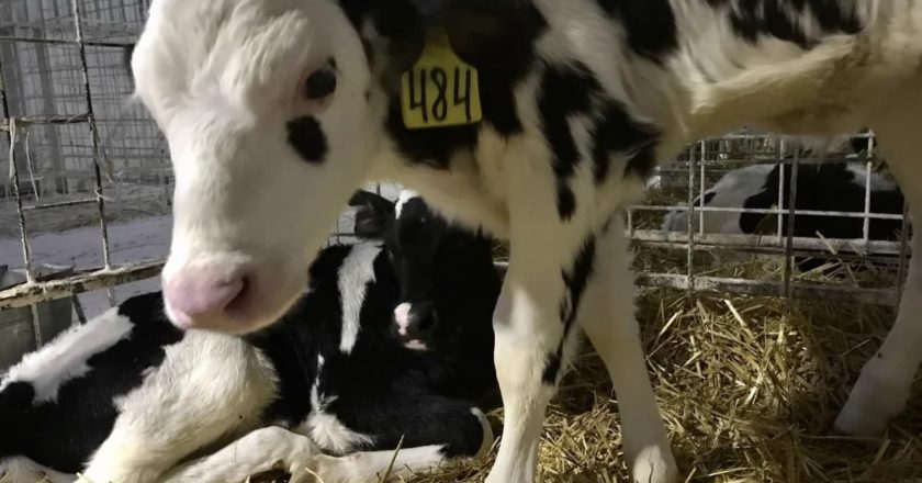 Фото: Администрация Кемеровской области