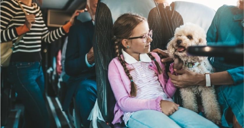 Фото: blablacar.ru