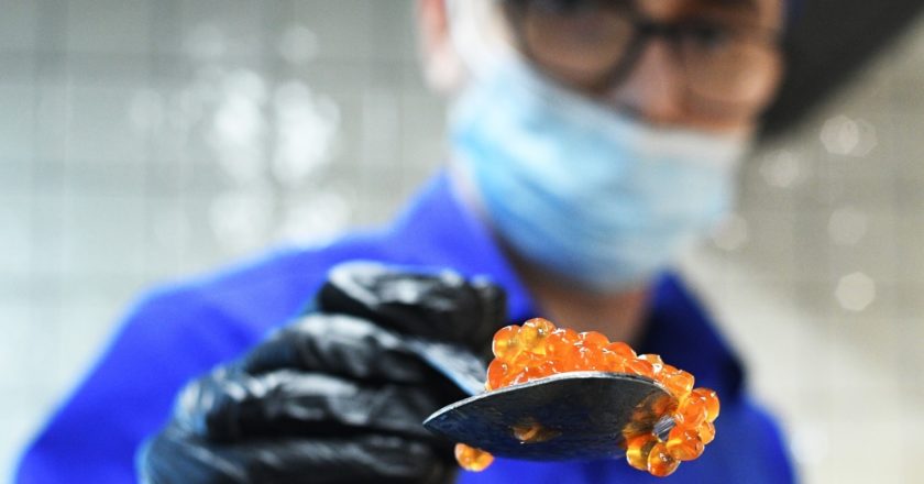 Продажа красной икры на "Рынке на Ленинском" в Москве. Алексей Майшев / РИА Новости